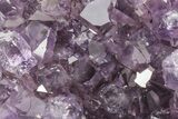 Sparking, Purple, Amethyst Crystal Cluster - Uruguay #215218-1